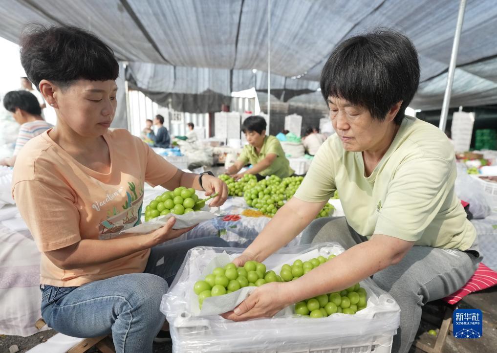 果敢老街华纳国际